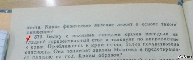 Задача про лапы. Смешные задания в учебниках. Дурацкие задачки из учебников. Дурацкие задачки для школьников. Самые тупые задачи для школьников.