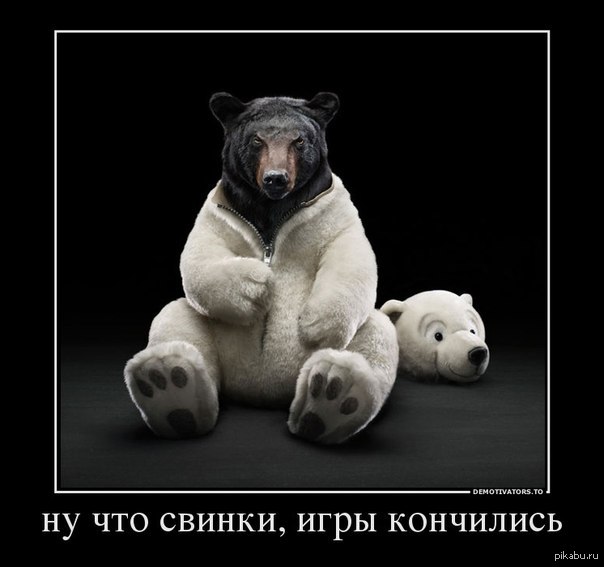 Белый медведь на черном фоне