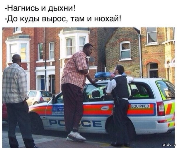 Кот в раковине смешные надписи. Мемы про денди. Беспрецедентно выросла зарплата. Откуда беспрецедентно выросла зарплата. Мем смешной ситуация смешная.