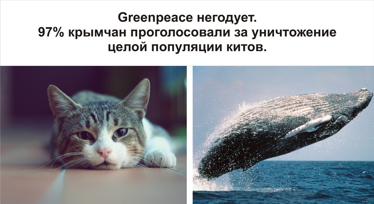 Прощайте "кiты" | Пикабу