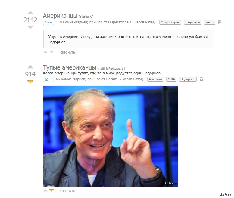 Задорнов подловил боян | Пикабу