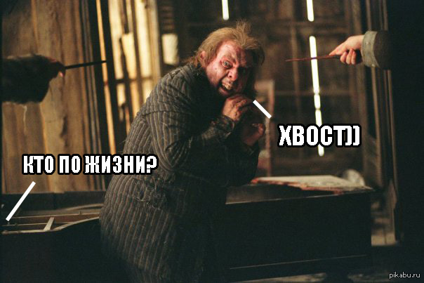 Хвост)) | Пикабу