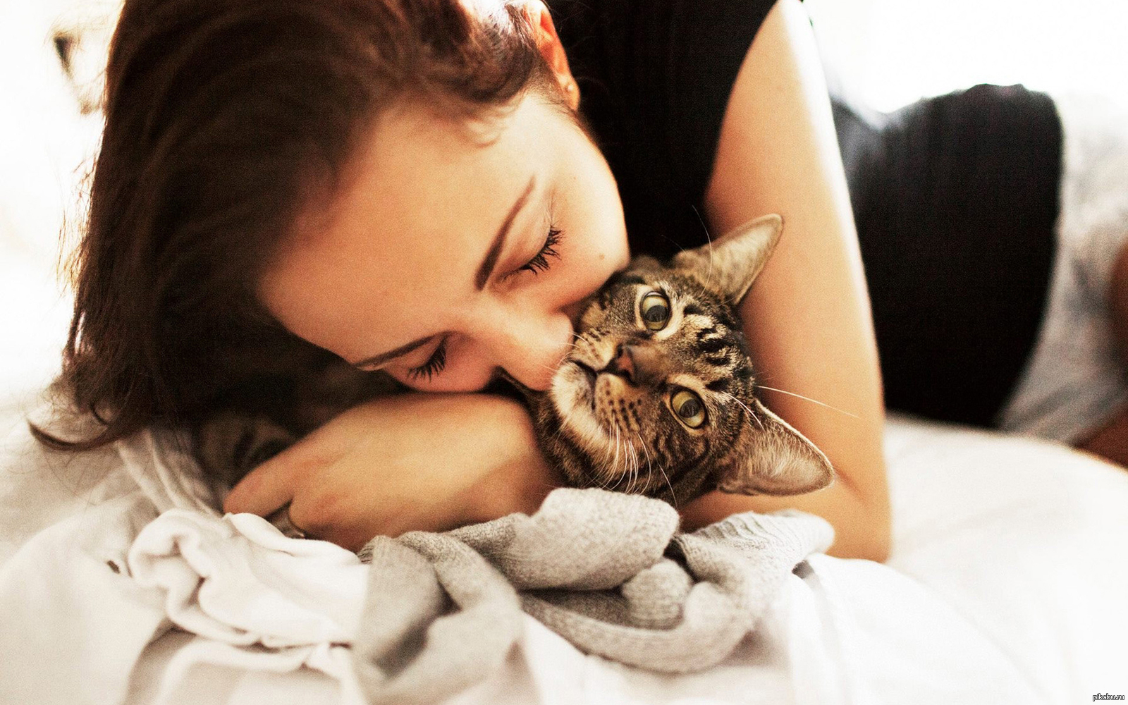 Человек и кошка вместе. Девушка с котом. Девушка обнимает кота. Кот обнимает. Красивая девушка с котиком.