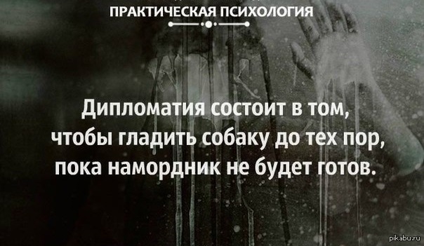 Чем тише омут тем практичнее черти. В тихом омуте черти. В тихом омуте водятся. В тихом омуте черти водятся цитаты. В тихом омуте фраза.