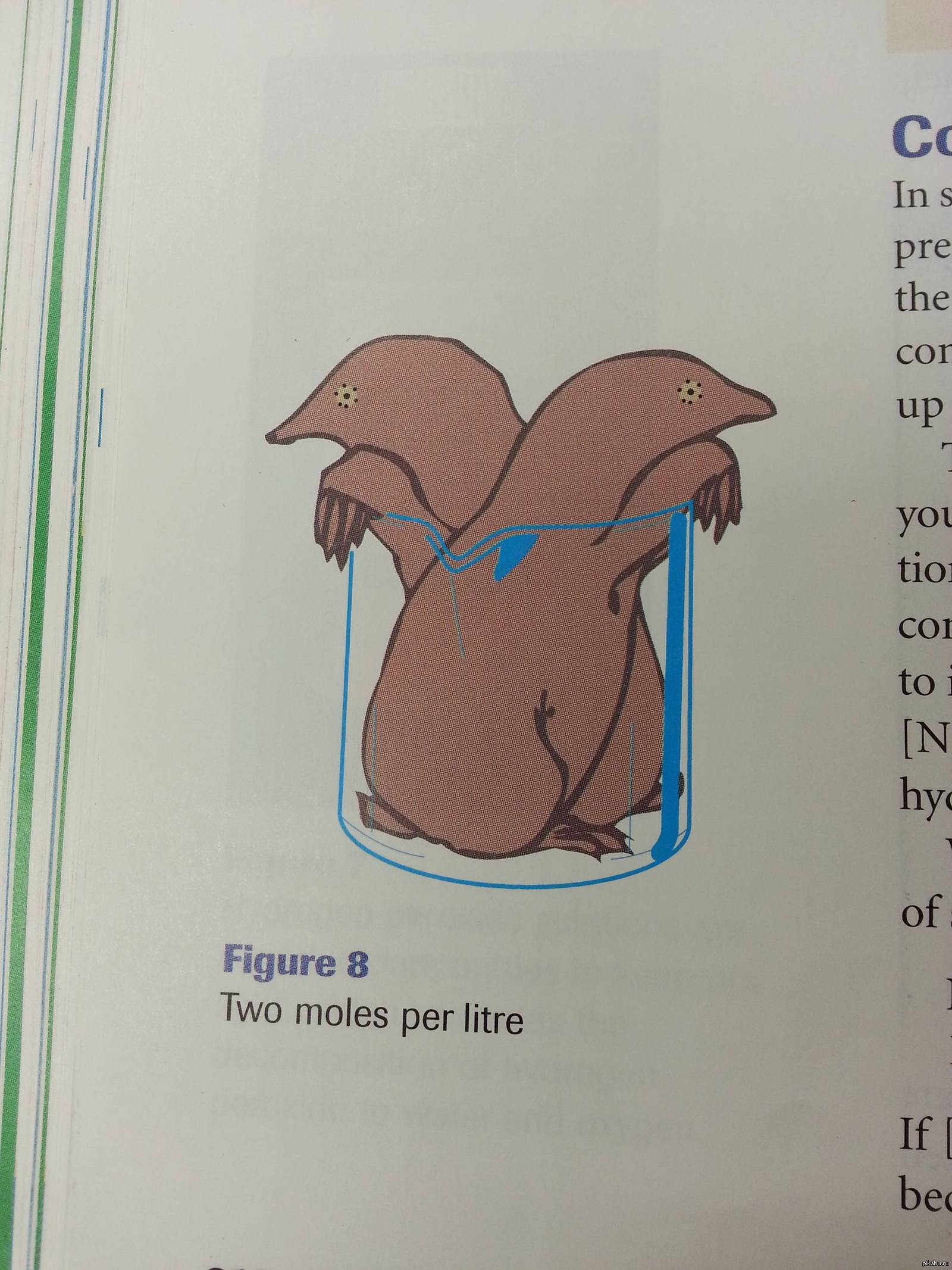 Два моль на литр. Игра слов в учебнике по химии. | Пикабу