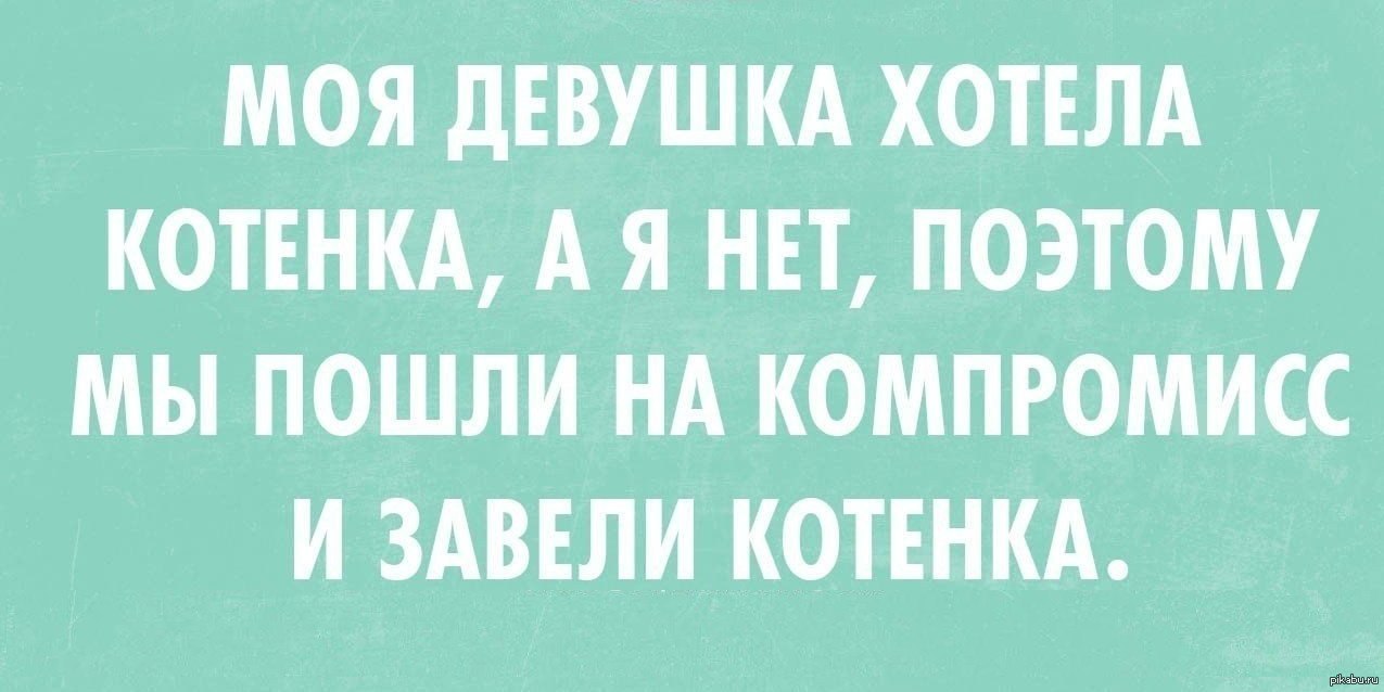 Поэтому пошла. Девушка хотела котёнка и мы пошли на компромисс. Компромисс прикол. У каждого мужчины должно быть что то светлое например блондинка. Мы пошли на компромисс и завели котенка.