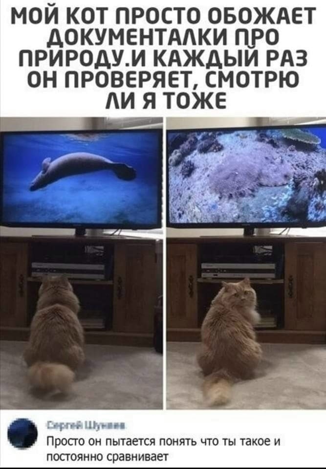 Потом начнет искать рецепт приготовления...)