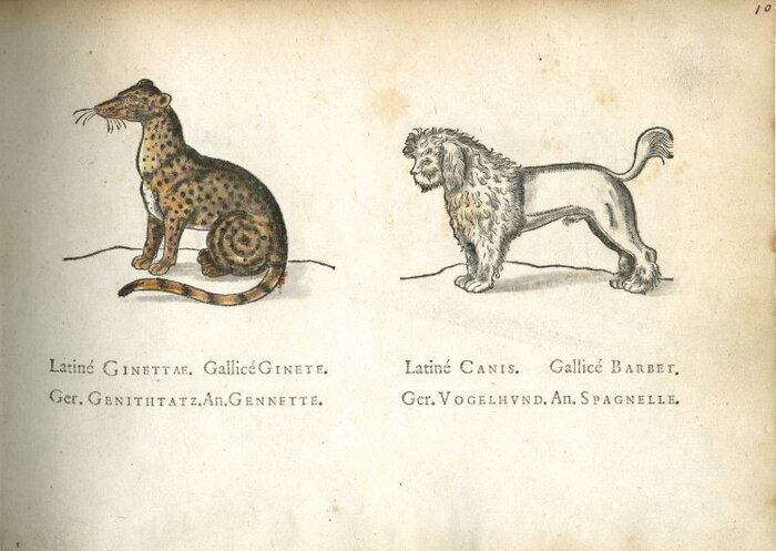 ����������� �� ������ �La �lef des �hamps� ���� �� ����� �� �����. 1586 ��� The Trustees of the British Museum