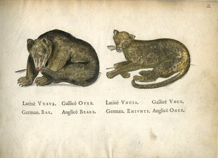 ����������� �� ������ �La �lef des �hamps� ���� �� ����� �� �����. 1586 ��� The Trustees of the British Museum