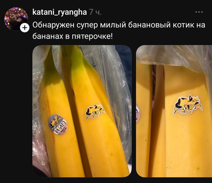 Будем искать