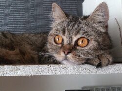 Ответ на пост «Побоями учить - что мёртвого лечить, но многие того не понимали...»