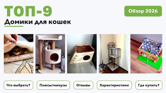 Лучшие домики для кошек 2026: выбрали лучшее по более 320 отзывам покупателей