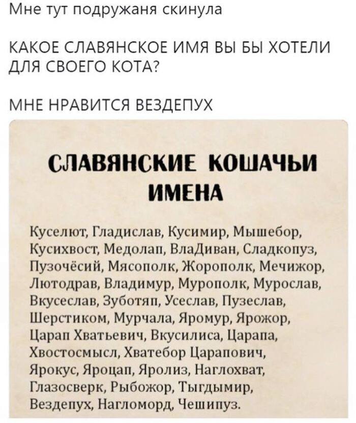 � ��� �������� - ������� ...