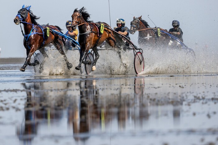Focke Strangmann / AFP / Getty