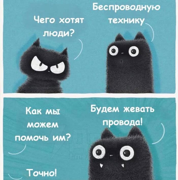 ���� �������