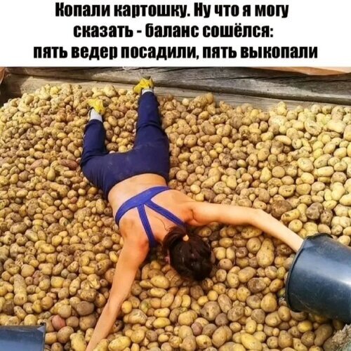 ����� �� ���� �������� ��� ������ � ������� ��� �������