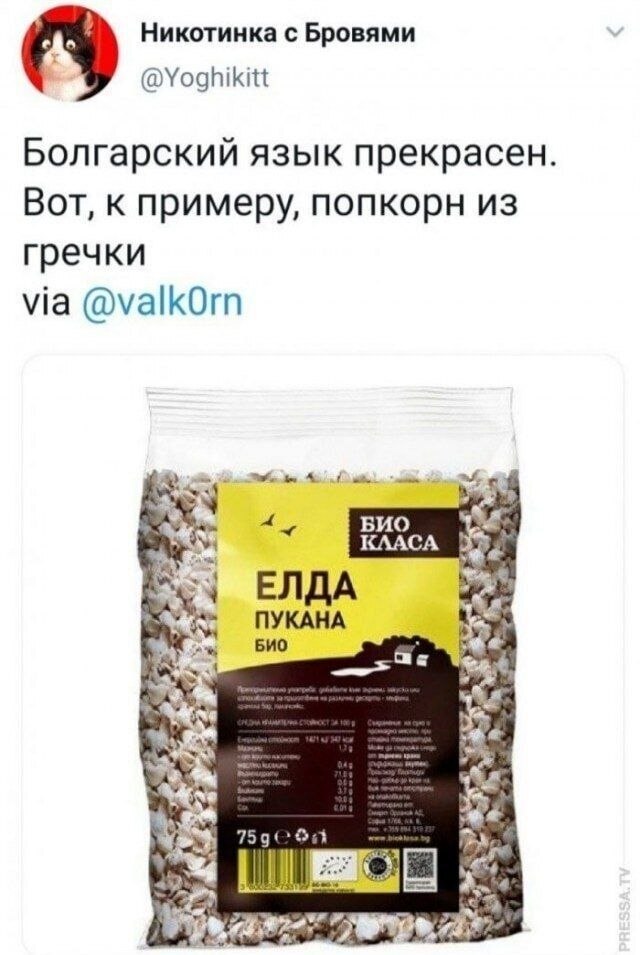���������� ����