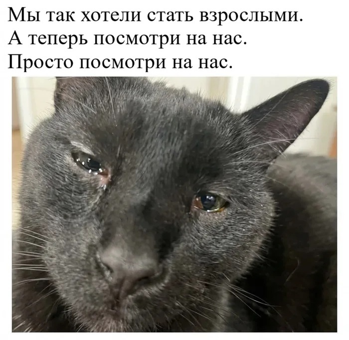 �� � ��� ���?