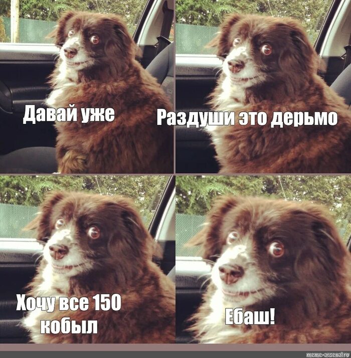 ����� FebruaryDownpou � ��������