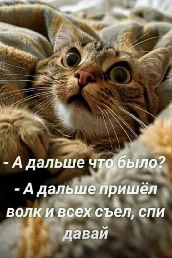 �� ����� ������ ������ ...