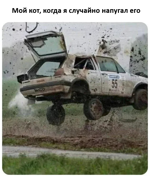 Мем