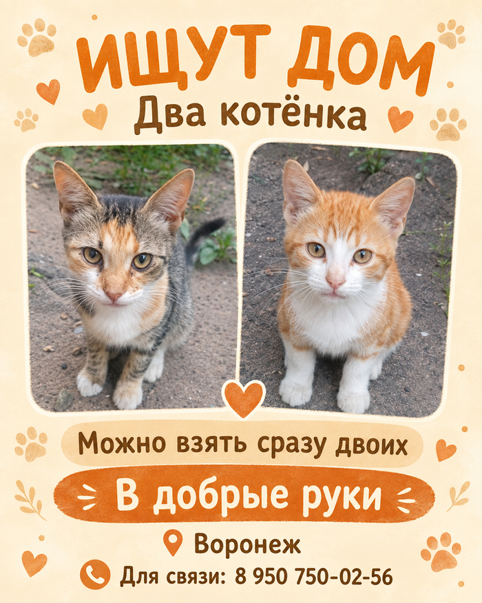 � ������ ����