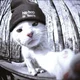 Аватар пользователя JohnnyP9tk
