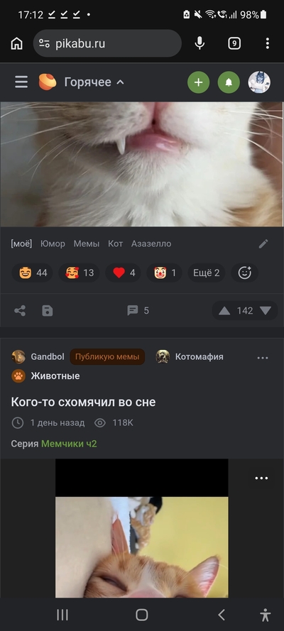 ����������� � �����������