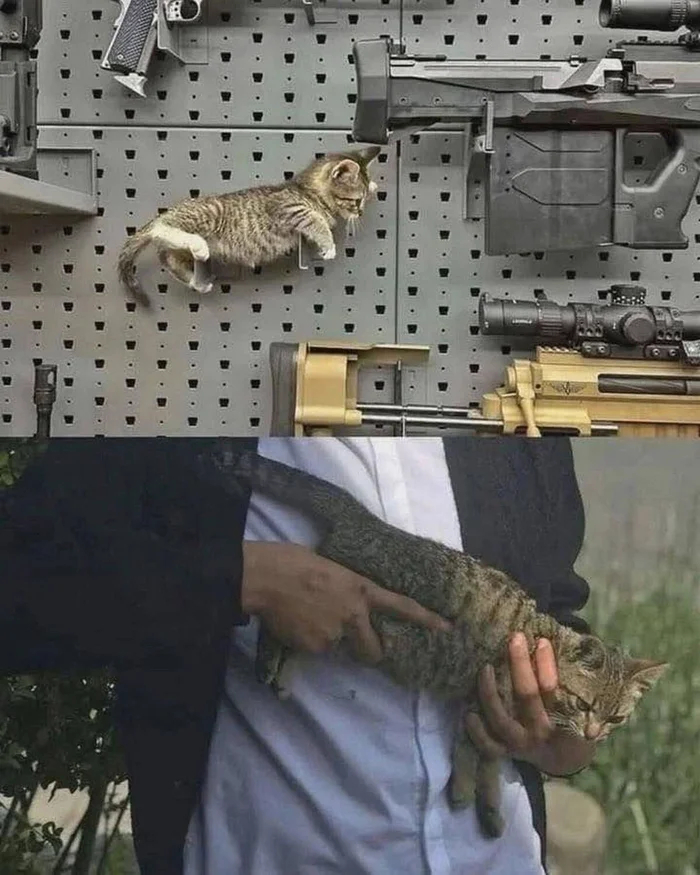 Дальше идти небезопасно, возьми это
