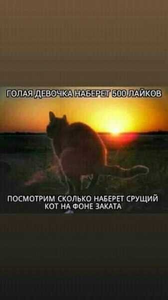 Не моё