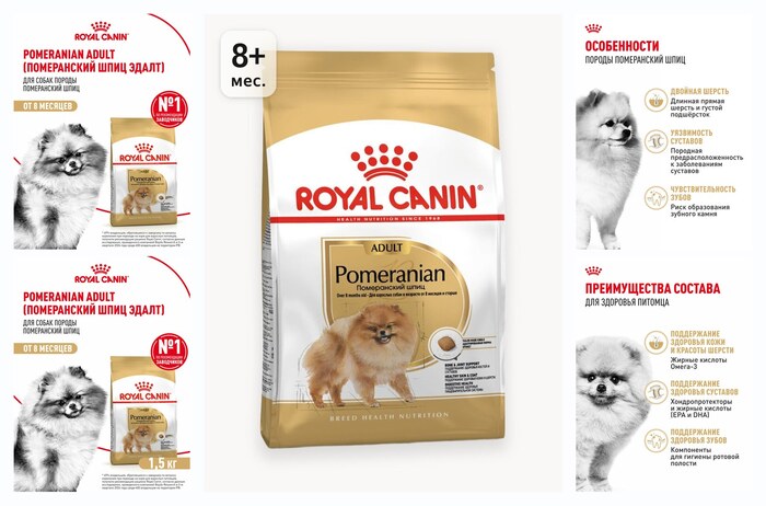 ����� ���� ��� ����� Royal Canin Adult ��� ������ ����������� ����, 1,5 ��