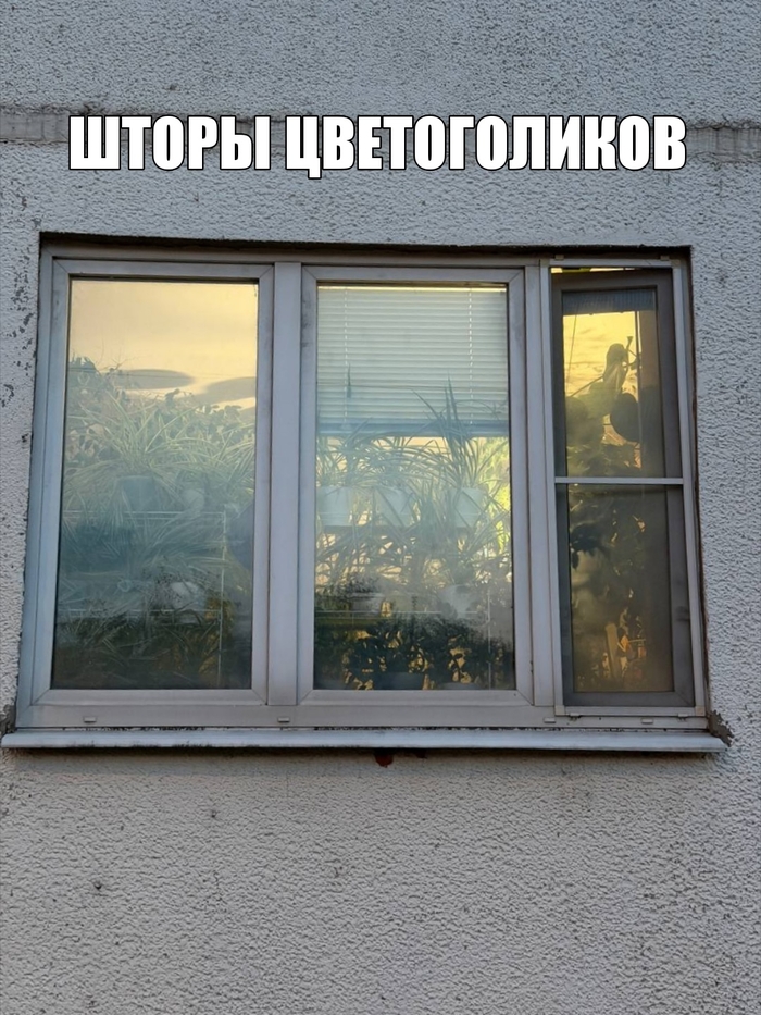 ����� �����, ����� ���� ��������?