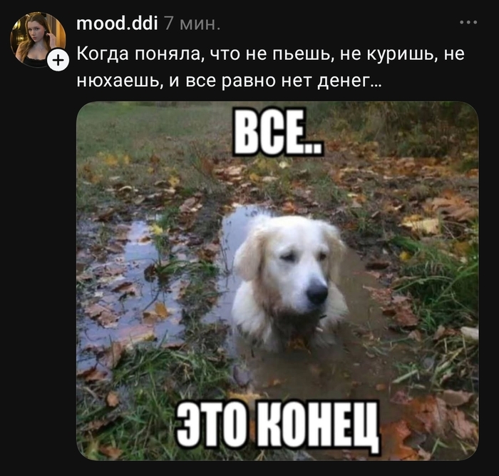 Нет вариантов для маневра
