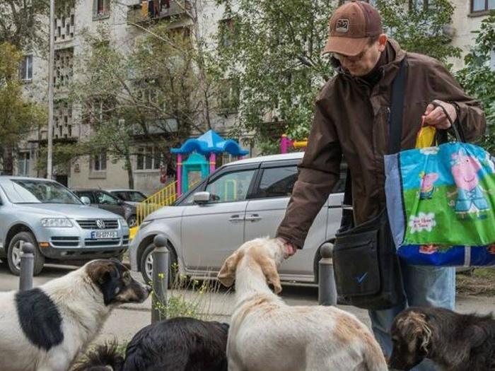Борисов: пока куряне кормят бродячих псов во дворах, собаки никуда не уйдут