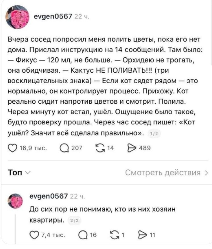 ������ �����