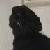 Vorombag
