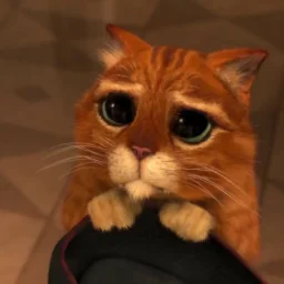user10389552