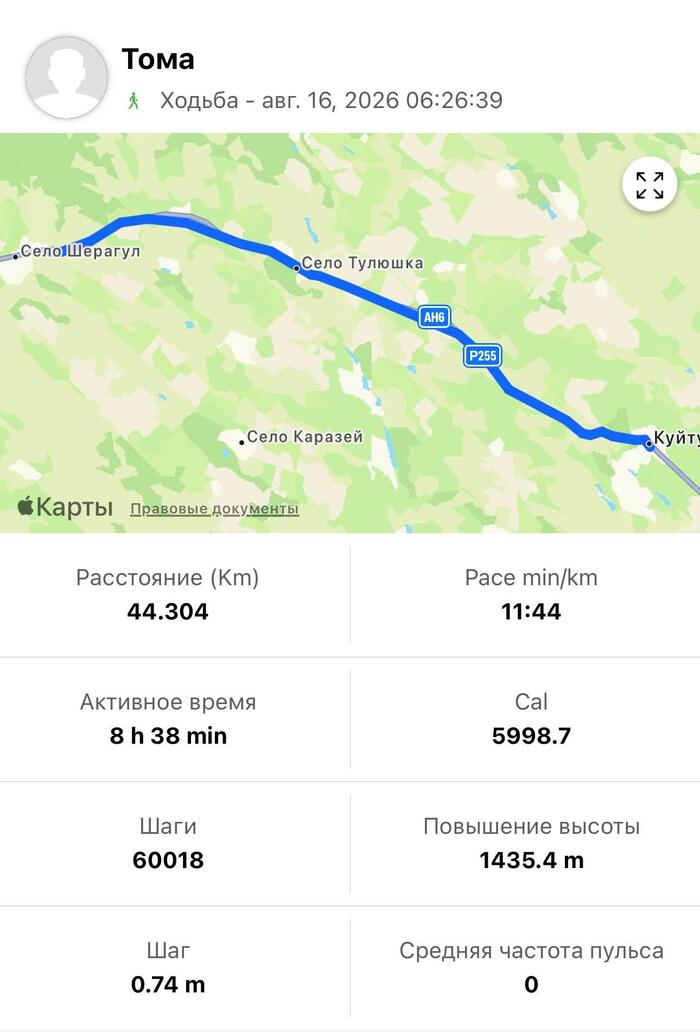 ��������: ������ ����� ������ | ������ -> ����������� / Telegram-�����