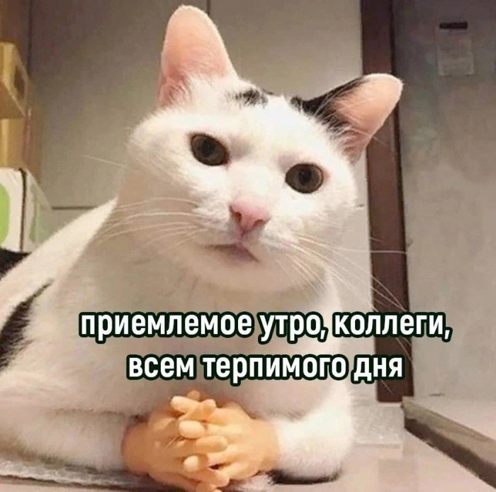 ��������, ������� ��������� ���� � ������� ���, �������� ���� ���� - �������� ���������