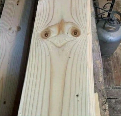 ������ � ������������