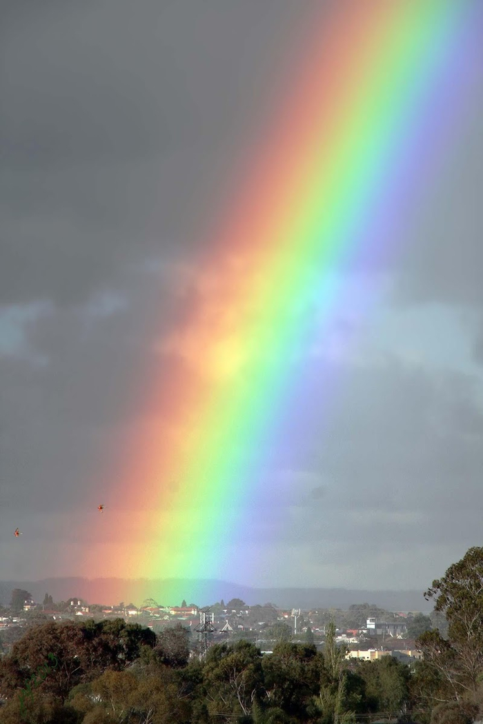 Rainbow