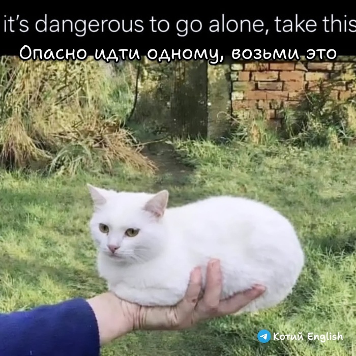 Тебе это пригодится