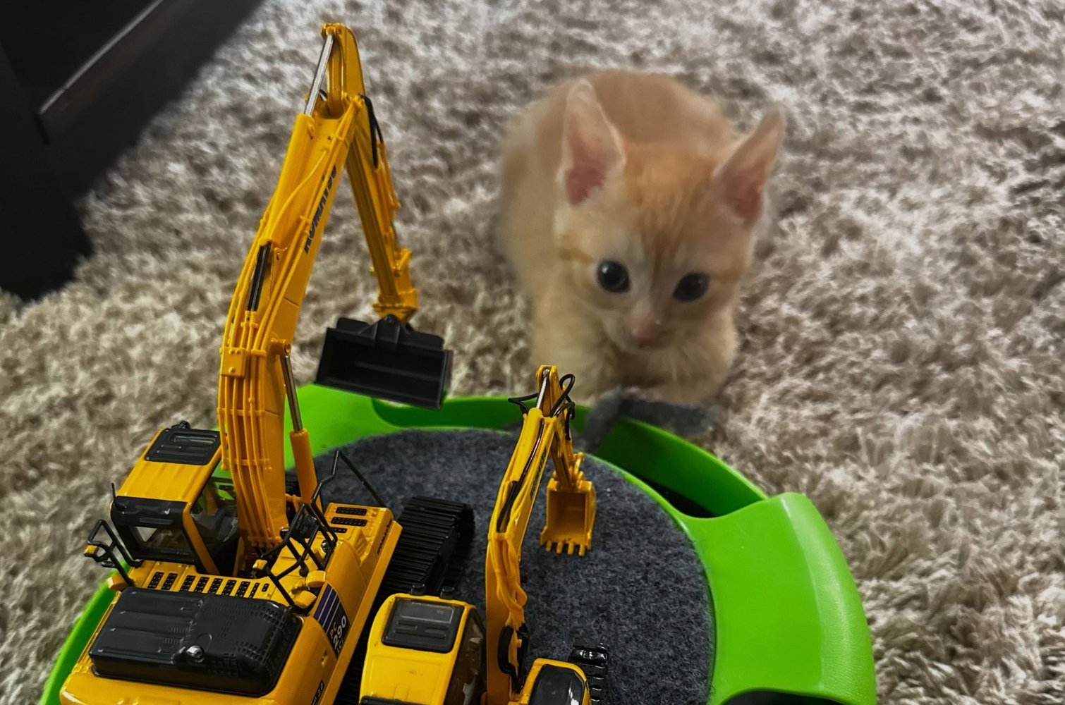 A kitten got stuck in an excavator and became a member of the team. - Series Cats, Kittens, Animal Rescue, cat, USA, Ohio, Milota, Longpost, Excavator, Excavator operator