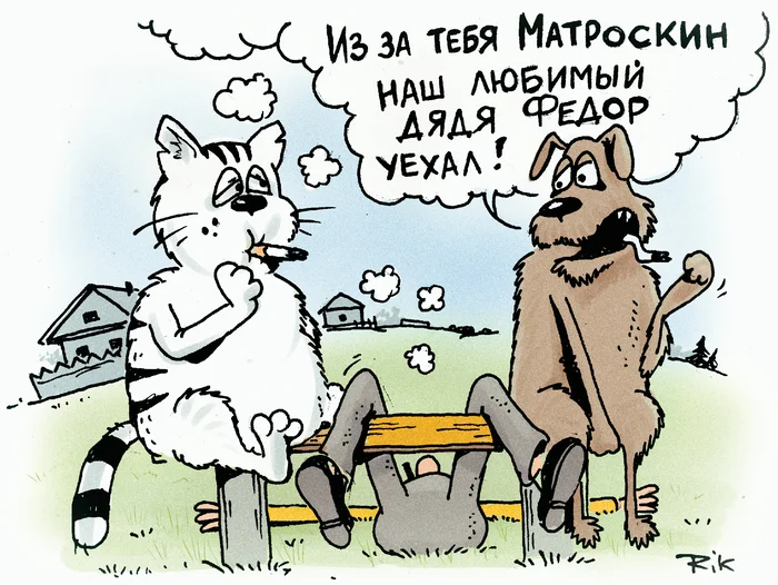 https://cs3.pikabu.ru/s/2026/08/26/15/qy7pbey4.webp