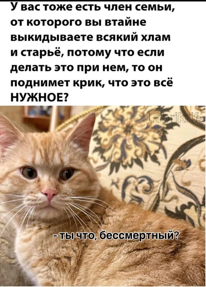 �� ����������, � ��������