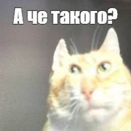 user11296581