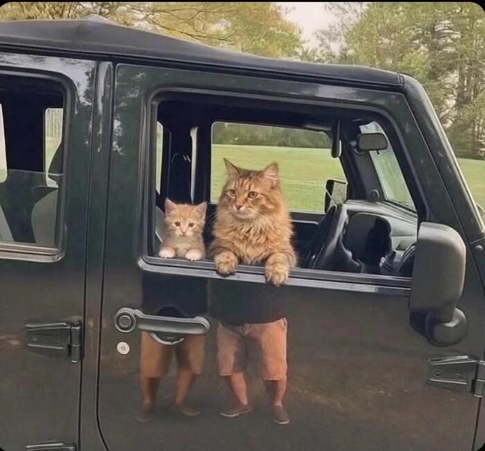 ���� � �����