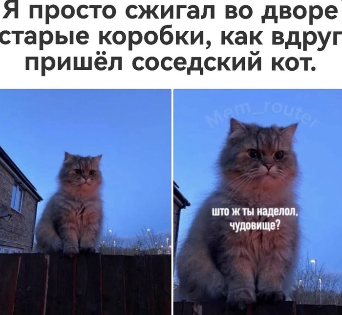 ������ � �������