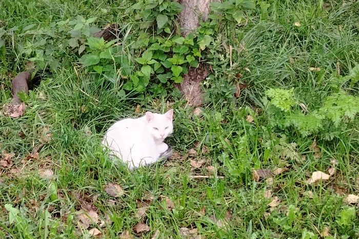 ������� � ������ ����� ����������...