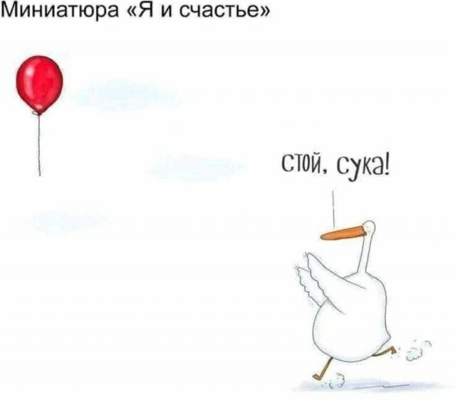Ну куда же ты